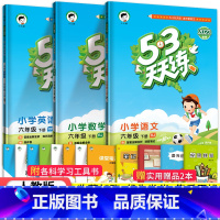 53天天练六年级下语数英3本(人教版) 小学六年级 [正版]2023秋新版小学53天天练六6年级上册下册同步训练语文数学