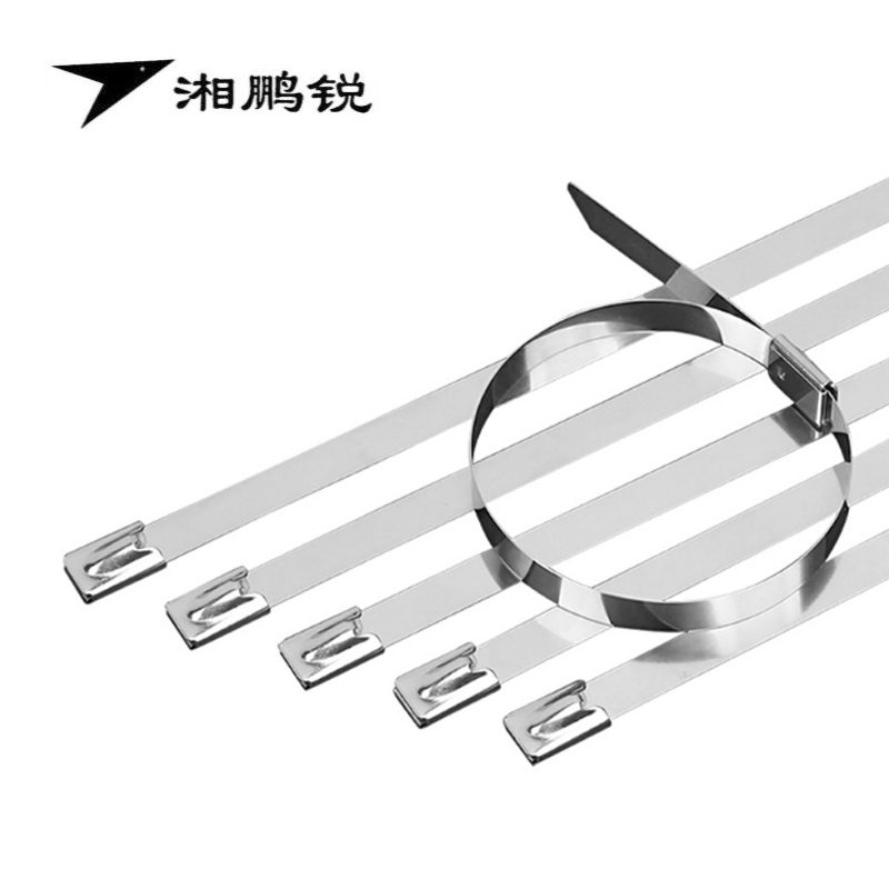 湘鹏锐 防护栅栏扎带(304不锈钢) 10mm*500mm 条