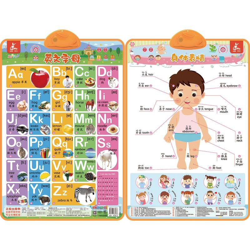 [M]瑞莉兔双面发声大挂图 英文字母 身体表情-9787111666936