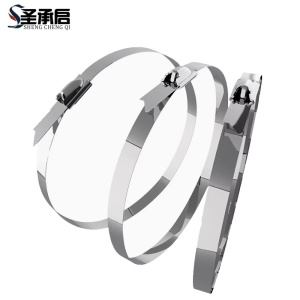 圣承启 不锈钢束线带 19*750mm 根