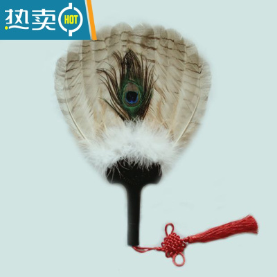 XIANCAI鹅毛扇孔明扇诸葛亮羽毛扇子三层羽扇工艺扇礼品扇子八卦扇中国风 猫头鹰(26X41cm)