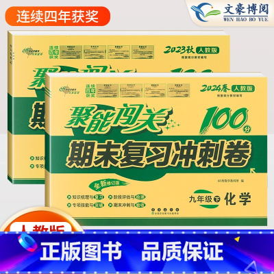 化学 上下册 人教版 九年级/初中三年级 [正版]2024版 初中聚能闯关100分九年级上册下册化学人教版期中期末复习冲
