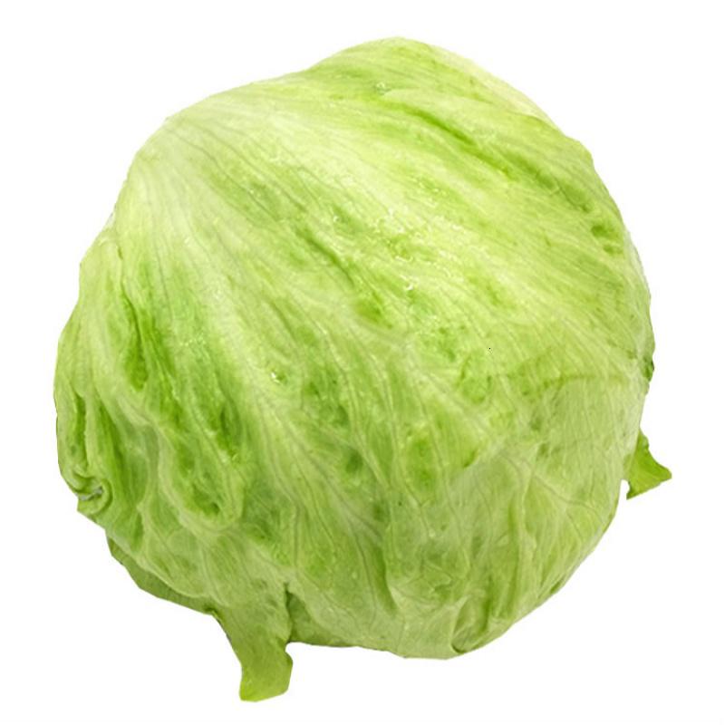 球生菜圆生菜汉堡用山东新鲜蔬菜即食轻食沙拉青菜 5斤