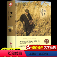 牛虻 [正版]牛虻 书世界名著书籍畅书销排行榜 经典文学书适合初中生高中生大学生课外阅读青春励志读物好书推必阅读修养男生