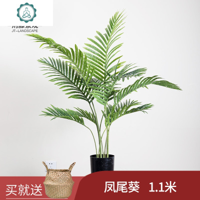 凤尾竹盆栽仿真绿植室内落地大型植物北欧客厅假树橱窗装饰散尾葵封后大散尾1.5米（加密）七杆送草蓝仿真植物