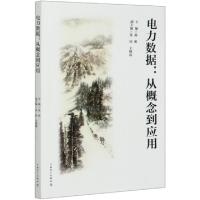 正版新书]电力数据--从概念到应用主编:陈彬 副主编:张伟 王晓