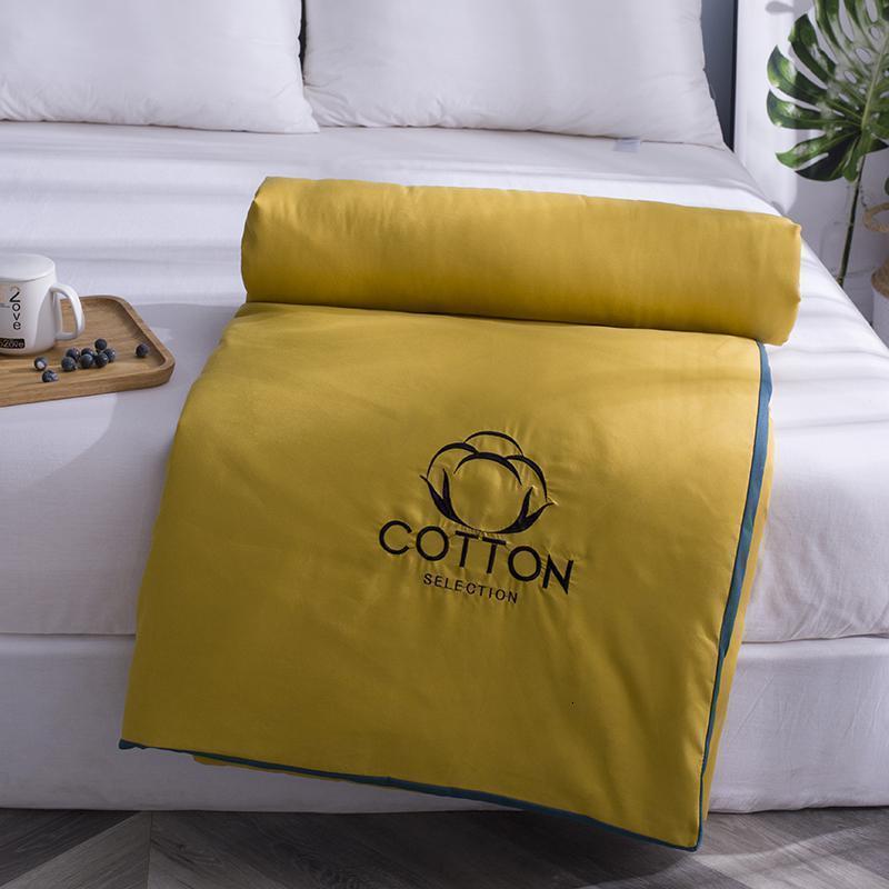 美帮汇空调被夏凉被夏季薄款单人学生夏季儿童夏被子水洗棉双人春秋被芯