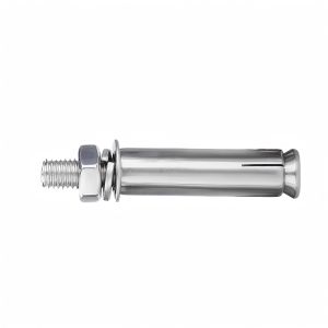 豫众诺 不锈钢膨胀螺栓 M10*200mm 个