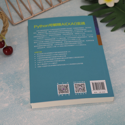 Python可解释AI(XAI)实战