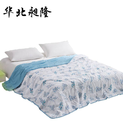 华北昶隆 西野南风抗菌夏被 150cm*200cm/条