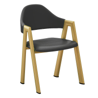 戴劲 北欧椅子靠背电脑椅简约化妆椅休闲网红铁艺家用餐椅四件起售深灰金属支架