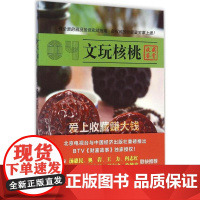 正版文玩核桃北京台财富故事栏目组9787513632980中国经济出版社
