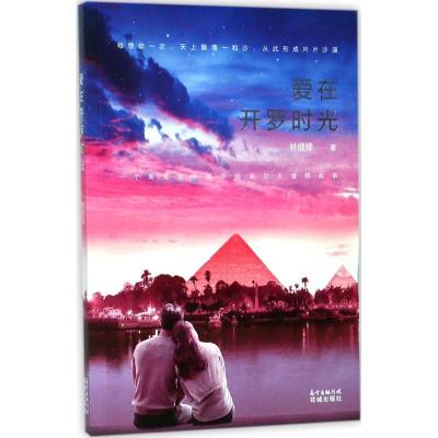 正版新书]爱在开罗时光林健锋9787536084971