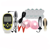 乐乐窝(lelewo) 情趣用品调教女用乳房刺激sm男用环后庭肛塞按摩器 [女用W5款]专业双孔组合