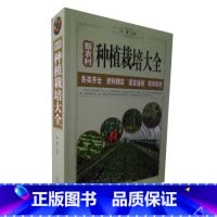 [正版]蔬菜种植栽培大全 新农村系列 大白菜马铃薯黄瓜辣椒茄子番茄韭菜大葱种植书 病虫害防治 塑料大棚蔬菜栽培技术 农