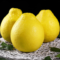 [熊猫鸟]新鲜沙田柚 白心柚 净重4.7斤 大果 2-3个 新鲜柚子水果 蜜柚