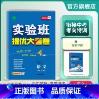 语文 八年级上 [正版]2024年秋 初中语文实验班提优大考卷八年级上册人教版 8年级上册RJ版单元基础巩固分层能力提优