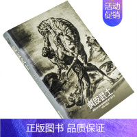[正版]虎皮武士 鲁斯塔维里 严永兴翻译 译林世界文学名著现当代系列精装 译林出版社 书籍 老版