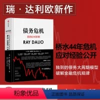 [正版]债务危机 瑞达利欧 RayDalio我的应对原则 原则应对变化中的世界秩序 债务危机达利欧 投资管理出版社图
