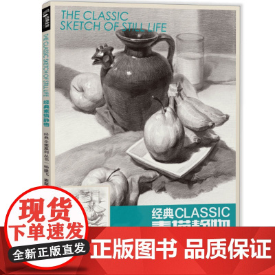 经典全集经典素描静物杨建飞麦粲杰联考单个单体结构体块临本范本sh