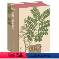 [正版]书籍 出类艺术明信片 至爱·草木物语清新唯美植物画片草木物语创意生日贺卡 科罗曼岸德海岸植物手绘画集明信片