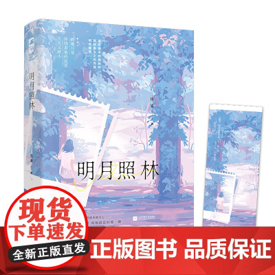 明月照林 比安 江苏凤凰文艺出版社 正版书籍