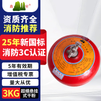 鑫亿安25年新国标FZX-ACT3/1.2-C 悬挂式超细干粉灭火器 3公斤 单位:个