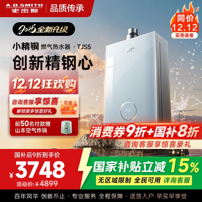 史密斯佳尼特[小精钢TJS5]16升增压零冷水燃气热水器 国家补贴 JSQ31-TJS5 安全守护 持久恒温 新品