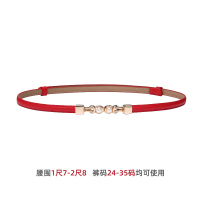 啄木鸟女士皮带细款2025新款配连衣裙子真皮高级感牛皮装饰裤腰带