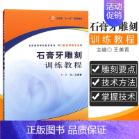 [正版] 石膏牙雕刻训练教程 口腔医学 咀嚼系统疾病诊治 口腔医学类专业书籍 牙冠雕刻教程 牙齿口腔医学临床书籍 978