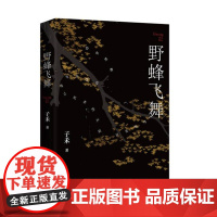 野蜂飞舞(故乡回不去,城市留不下,还能去哪儿? 写给“城乡两栖人”的理解之书)