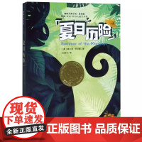 正版 国际大奖小说仙境之桥海蒂的天空当怪物来敲门三四五六年级中小学生课外小说儿童文学读物7-12岁青少年少年故事书 夏日