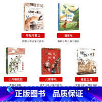 阳泉市整本书阅读六年级全套5本 [正版]阳泉市整本书阅读六年级砂粒与星尘安徽少年儿童出版社翡翠地湖南少年儿童出版社小兵雄