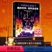 10.我的世界:避风港试炼 [正版]全套9册 我的世界破碎/海岛/失落的日记/末地/远航/地下城/沉船/山 中文版少儿科