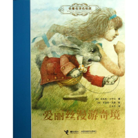 音像爱丽丝漫游奇境(英)卡罗尔 著;(澳)英潘 绘;王永年 译