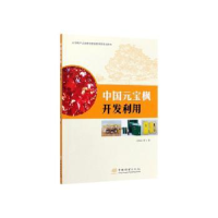 音像中国元宝枫开发利用王炎