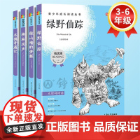 我优阅青少版 无障碍阅读彩插版 绿野仙踪+绿山墙+柳林风声+木偶 PDD