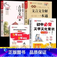 [全4册]文学文化常识+全练手册+文言文全解+必背古诗文 初中通用 [正版]2024版初中必背文学文化常识积累大全初一初