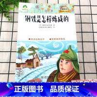 [正版]爱德教育 大语文新阅读经典书系 钢铁是怎样炼成的 三四五六年级 课外阅读书目阅读经典名作 小学生青少年版