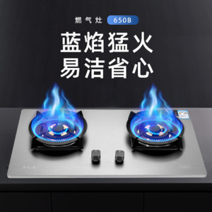 金龙燃气灶JZT-JL-650B不锈钢面板全铜火盖经久耐用聚能炉架