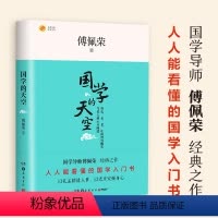 [正版]国学的天空 傅佩荣 著 杂文