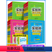 语数4本❤️[提优训练+提优大考卷]苏教版 六年级下 [正版]2024实验班提优训练一二年级三年级四五六年级下册上册语文