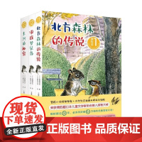 冒险者 斋藤惇夫 著 儿童文学