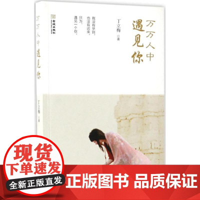 万万人中遇见你丁立梅 著 著作WX