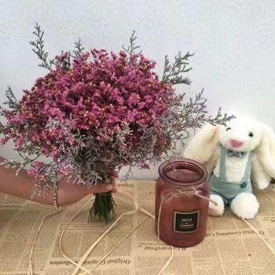 云南干花真花花束勿忘我家居摆设满天星清新装饰真花ins干花大束