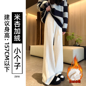 加绒微喇裤女新款秋冬加绒羊毛糯米裤休闲小个子毛呢喇叭裤子_633