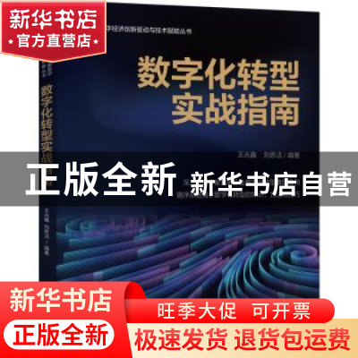 正版 数字化转型实战指南 王光鑫 刘思洁 机械工业出版社 978711