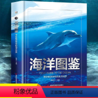 [单本]海洋图鉴 [正版]海洋图鉴带你畅游神奇的海洋世界精装硬壳儿童百科全书图鉴幼儿读物科学绘本故事6-12岁小学生科普