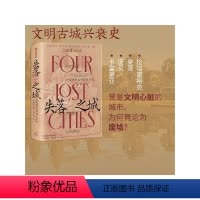 [正版]失落之城 四座世界古城的生与死 安娜丽纽伊茨著 城市的命运就是人类的命运 历史考古探秘 出版社图书