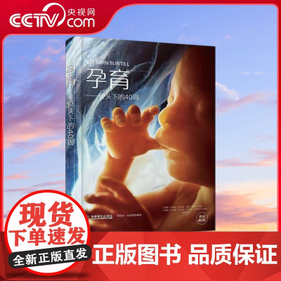 [央视网]孕育 镜头下的40周 ZK